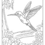 100+ Hummingbird Coloring Pages (Free Pdf To Print) | Woo Coloring Within Free Printable Pictures Of Hummingbirds
