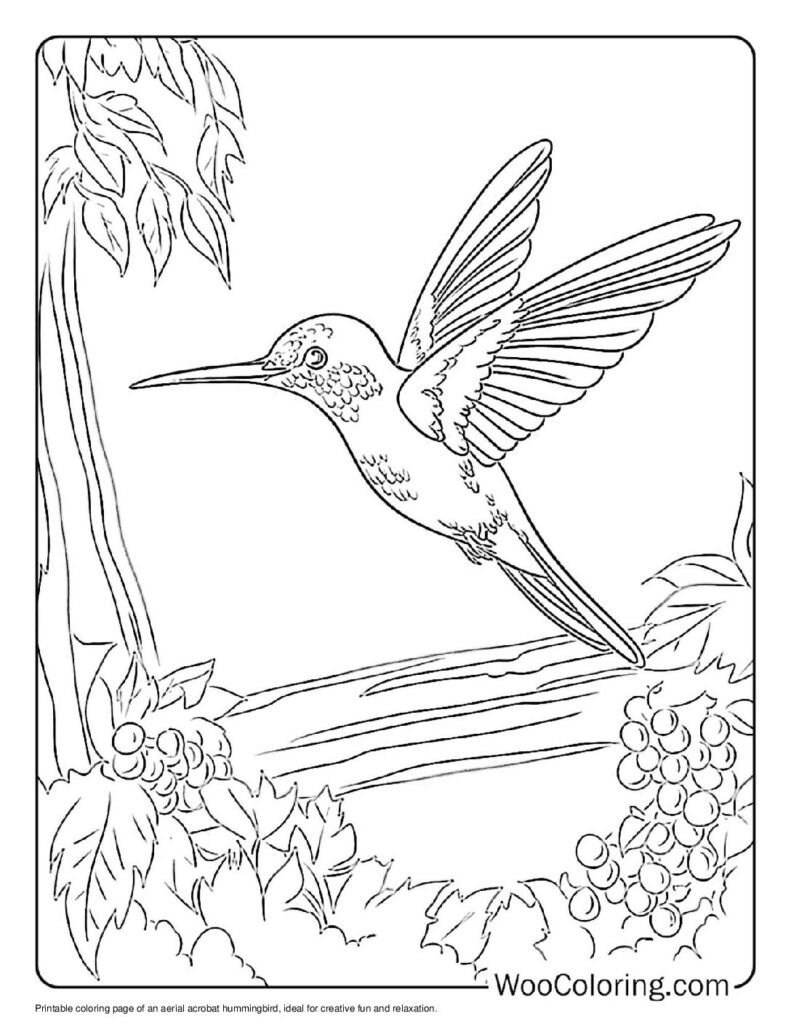 100+ Hummingbird Coloring Pages (Free Pdf To Print) | Woo Coloring Within Free Printable Pictures Of Hummingbirds 100+ Hummingbird Coloring Pages (Free Pdf To Print) | Woo Coloring Within Free Printable Pictures Of Hummingbirds