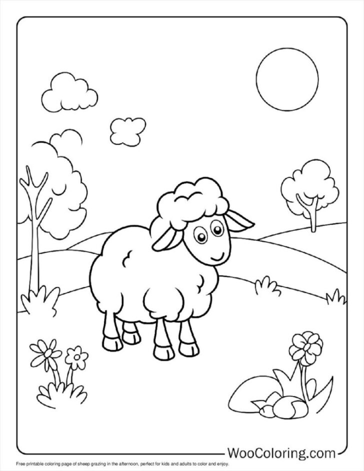 Free Printable Pictures of Sheep