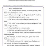 19 Free Printable Biology Worksheets Intended For Free Printable Biology Worksheets For High School