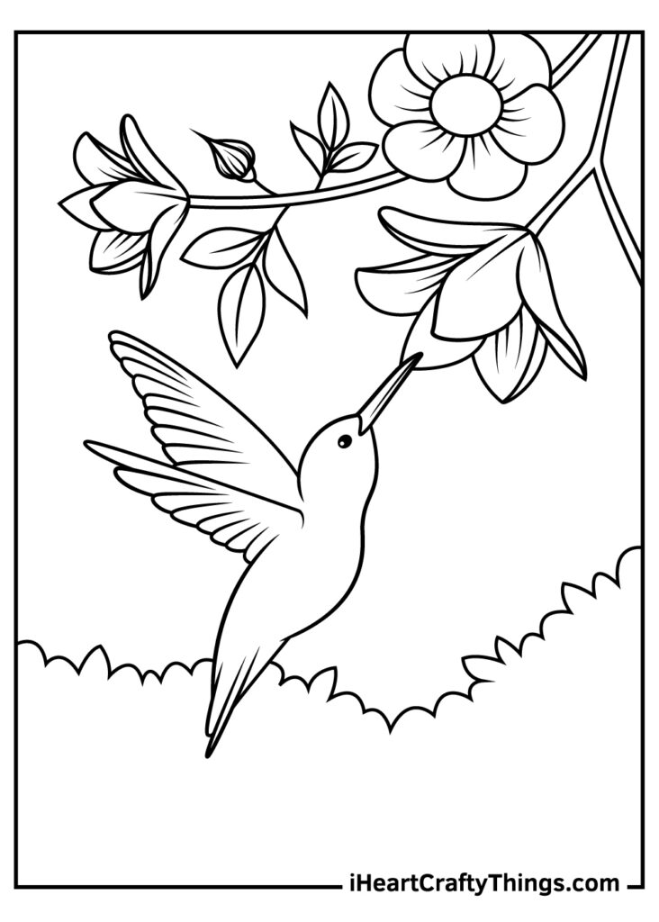 25 Hummingbird Coloring Pages (100% Free Printables) Regarding Free Printable Pictures Of Hummingbirds 25 Hummingbird Coloring Pages (100% Free Printables) Regarding Free Printable Pictures Of Hummingbirds