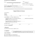30 Free Divorce Papers (Real & Fake)   Templatearchive Regarding Free Printable Divorce Papers