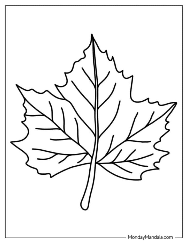 Free Printable Leaf Coloring Pages