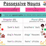4 Free Possessive Nouns Worksheets For Grammar With Free Printable Possessive Nouns Worksheets