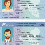 4+ Thousand Drivers License Template Royalty Free Images, Stock Regarding Free Printable Fake Drivers License