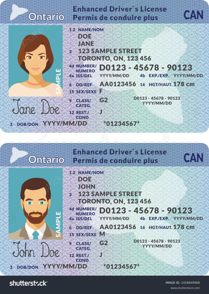 4+ Thousand Drivers License Template Royalty Free Images, Stock Regarding Free Printable Fake Drivers License 4+ Thousand Drivers License Template Royalty Free Images, Stock Regarding Free Printable Fake Drivers License