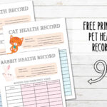 5 Free Printable Pet Health Record Sheets   My Printable Home Within Free Printable Pet Health Record