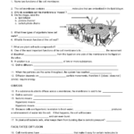 50+ Biology Worksheets For 9Th Grade On Quizizz | Free & Printable Within Free Printable Biology Worksheets For High School