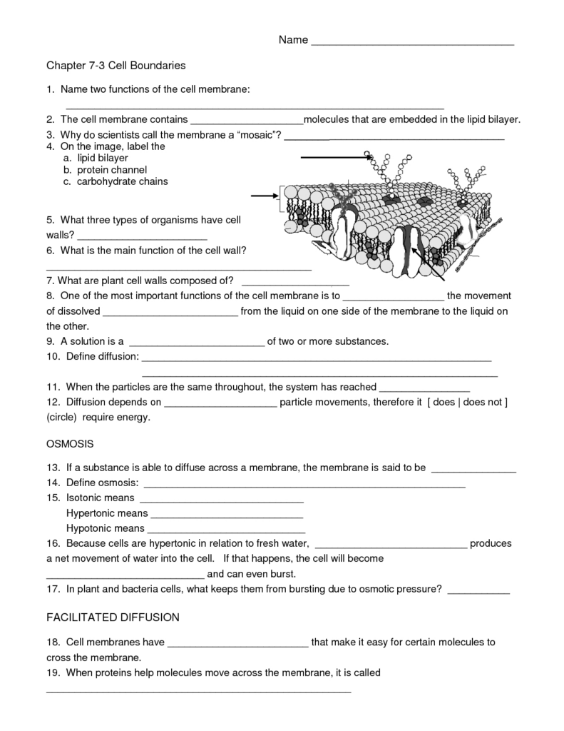 50+ Biology Worksheets For 9Th Grade On Quizizz | Free & Printable Within Free Printable Biology Worksheets For High School 50+ Biology Worksheets For 9Th Grade On Quizizz | Free & Printable Within Free Printable Biology Worksheets For High School
