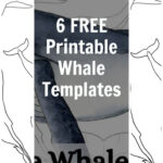 6 Free Printable Whale Templates Regarding Free Printable Whale Template