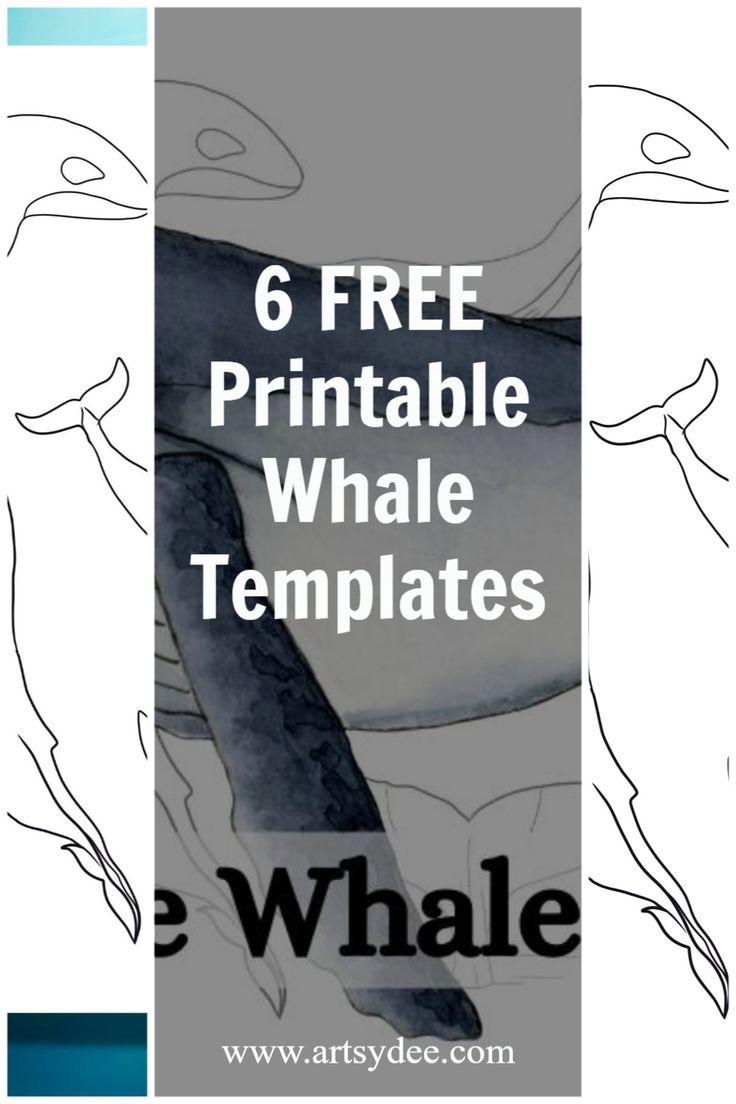 6 Free Printable Whale Templates regarding Free Printable Whale Template