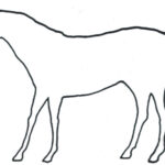 Animal Outlines Printable   Printable Party Favors Pertaining To Free Printable Arty Animal Outlines