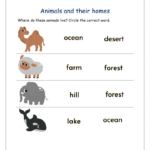 Animals And Their Homes Worksheets Pdf | Planetspin.in Throughout Free Printable Worksheets Animal Habitats