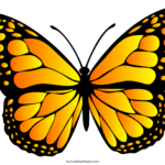 Butterfly Svg Files (Printable Templates, Patterns, & Clipart Pertaining To Free Printable Butterfly