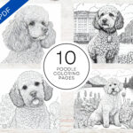 Buy Poodle Dogs Coloring Pages | A4 Printable Pdf | Dog Coloring With Free Printable Poodle Template