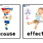Cause And Effect Flashcards   Fun Teacher Files For Free Printable Cause And Effect Picture Cards