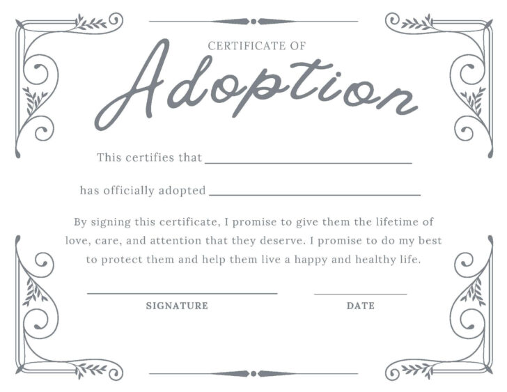 Fake Adoption Certificate Free Printable