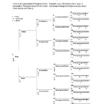 Dog Pedigree Chart Form ≡ Fill Out Printable Pdf Forms Online In Free Printable Dog Pedigree Generator