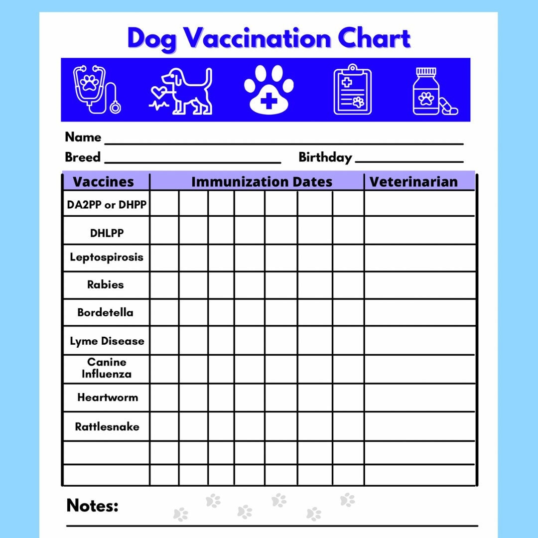 Dog Vaccine Printable, Pet Printable, Immunization, Puppy regarding Free Printable Dog Shot Records