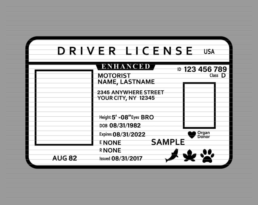 Driver Licence Svg, Driver License, Id Svg, Id Card Pertaining To Free Printable Fake Drivers License Driver Licence Svg, Driver License, Id Svg, Id Card Pertaining To Free Printable Fake Drivers License