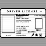 Driver Licence Svg, Driver License, Id Svg, Id Card Pertaining To Free Printable Fake Drivers License