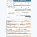 Ds 11 Passport Form   How To Fill It Out (With Examples) Pertaining To Free Printable Ds 11