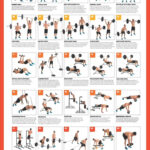 Dumbbell Workout Poster   10 Free Pdf Printables | Printablee Throughout Free Printable Workout Routines