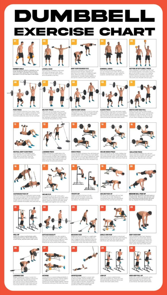 Dumbbell Workout Poster   10 Free Pdf Printables | Printablee Throughout Free Printable Workout Routines