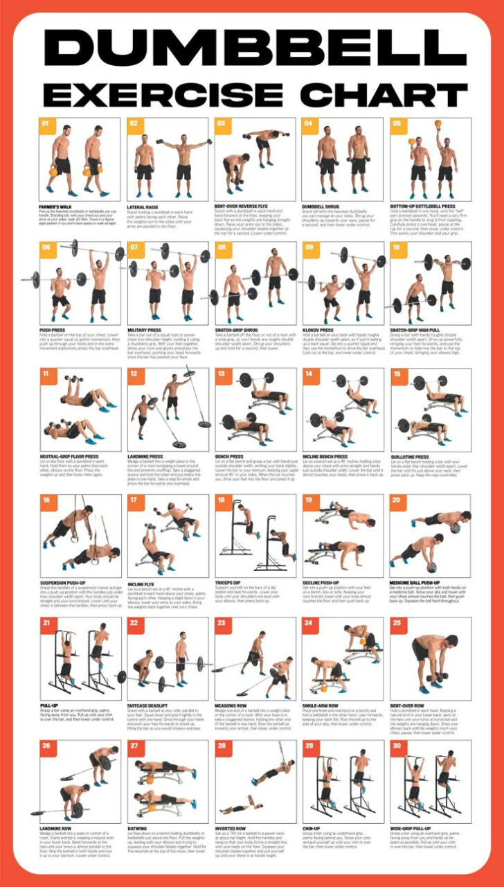 Free Printable Workout Routines