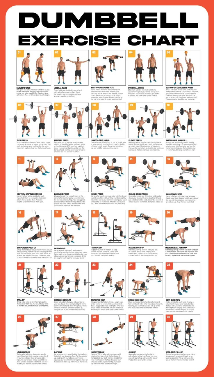 Dumbbell Workout Poster - 10 Free Pdf Printables | Printablee throughout Free Printable Workout Routines