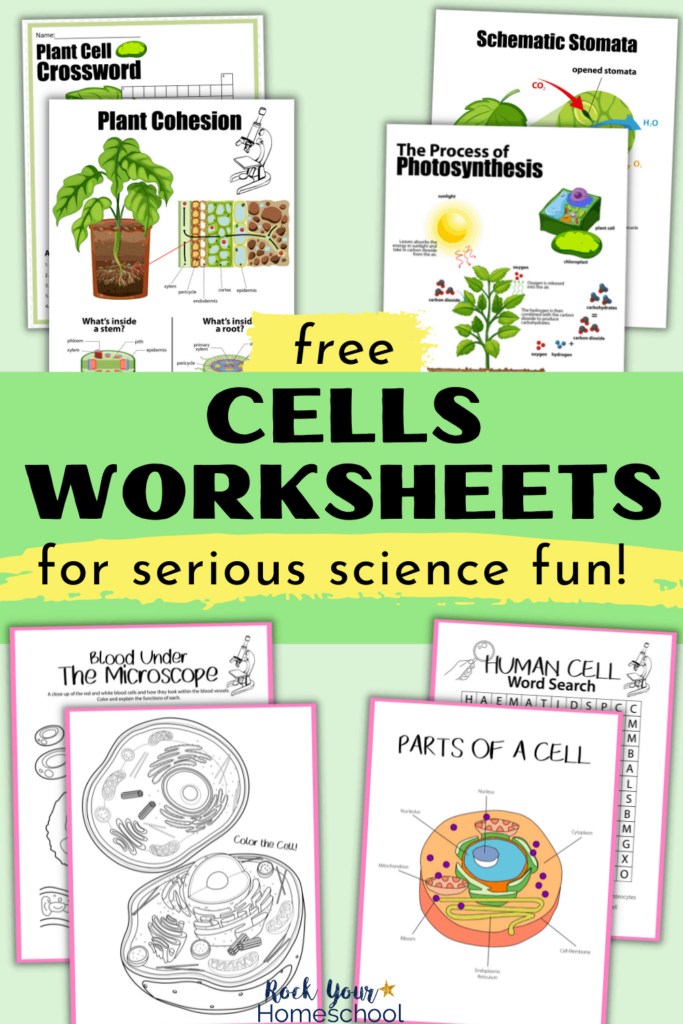 Free Cells Worksheets For Super Fun Science Activities For Kids Inside Free Printable Cell Worksheets Free Cells Worksheets For Super Fun Science Activities For Kids Inside Free Printable Cell Worksheets