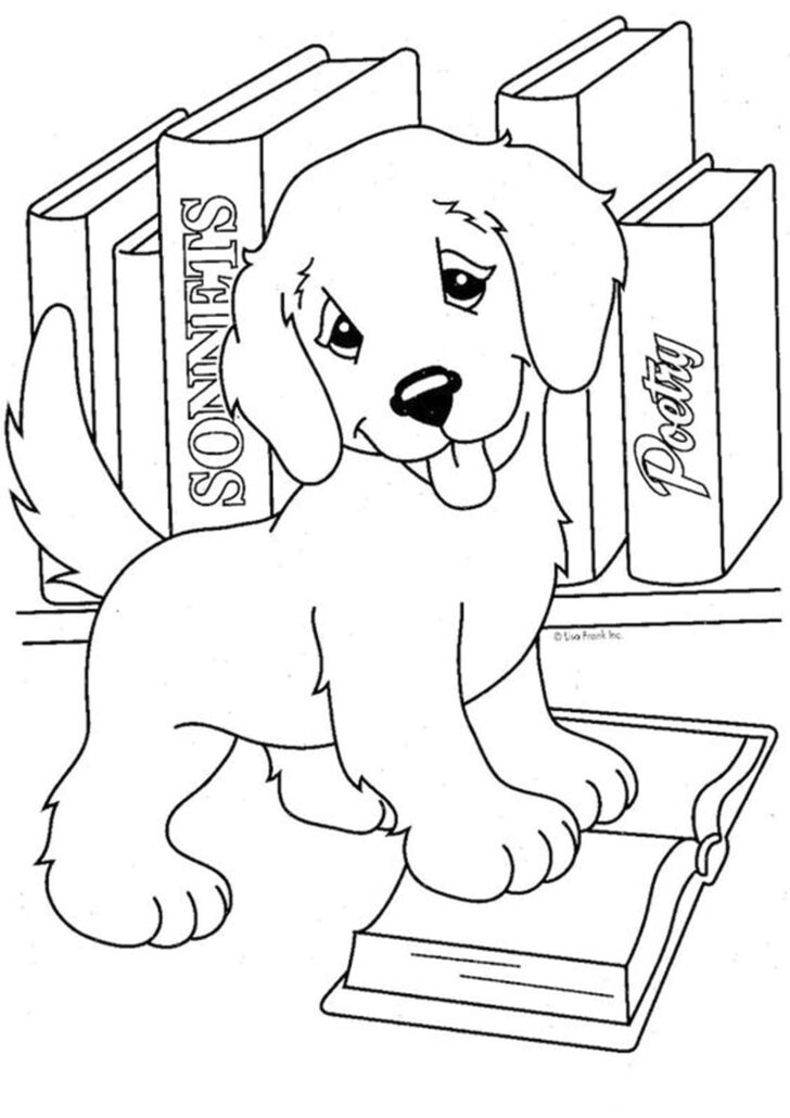 Free Printable Pictures of Baby Animals