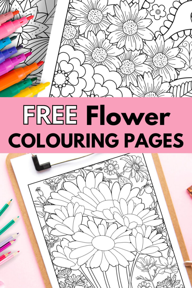 Free Printable Flower Coloring Pages For Adults