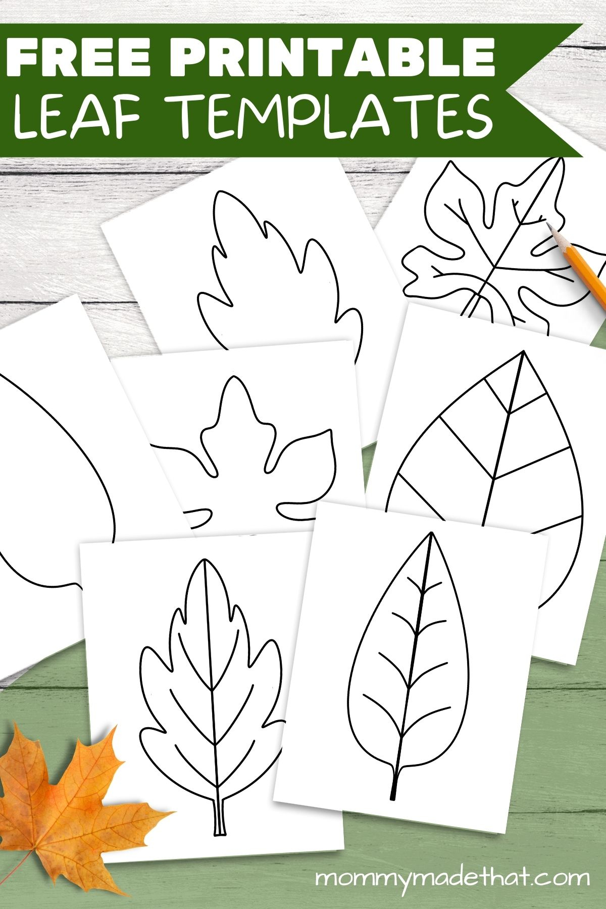 Free Leaf Templates &amp;amp; Outlines: Tons Of Printables!! with Free Printable Oak Leaf Patterns