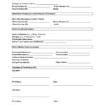 Free Minor (Child) Medical Consent Form Template | Cocosign Within Free Printable Medical Consent Form