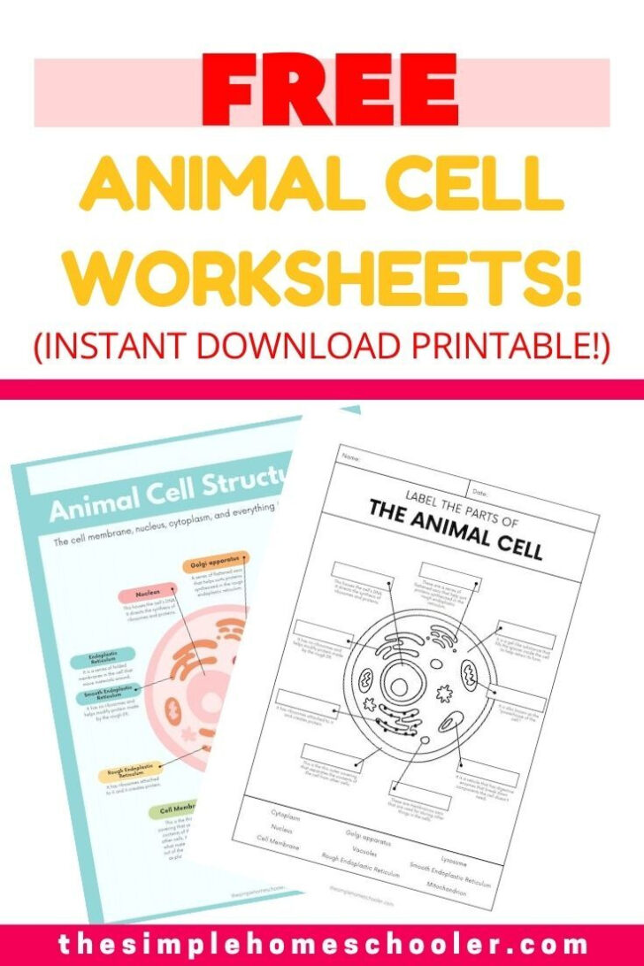 Free Printable Cell Worksheets