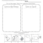 Free Printable Animal Classification Worksheet Within Free Printable Worksheets For Kids Science