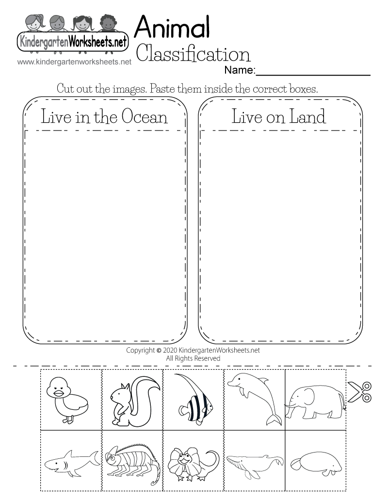 Free Printable Animal Classification Worksheet within Free Printable Worksheets For Kids Science