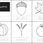 Free Printable: Autumn Words   Paging Supermom For Free Printable Autumn Worksheets