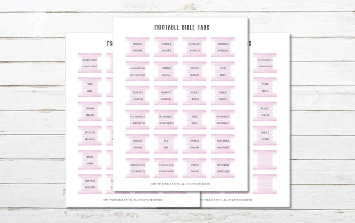Free Printable Books of the Bible Tabs
