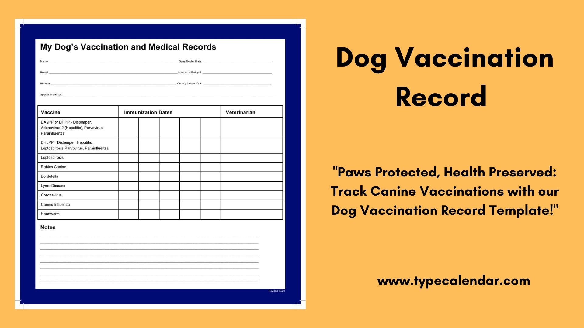 Free Printable Dog Vaccination Record Template: Keep Your Pet&amp;#039;S throughout Free Printable Dog Shot Records