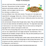 Free Printable Reading Comprehension Worksheets Regarding Free Printable Reading Comprehension Worksheets For Adults