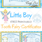 Free Printable Tooth Fairy Certificates ⋆ The Quiet Grove Throughout Free Printable Tooth Fairy Certificate
