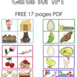 Free Sequencing Cards And Color Matching For Pre K K 1 Pertaining To Free Printable Sequencing Worksheets For Kindergarten