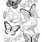 Free Simple Butterfly Coloring Pages   Little Moon Regarding Free Printable Butterfly Coloring Pages