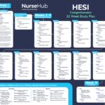 Hesi A2 Study Plan | Nursehub Throughout Free Printable Hesi Study Guide