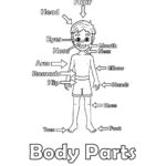 Human Body Themed Coloring Pages • Beeloo Printable Crafts And Intended For Free Printable Human Anatomy Coloring Pages