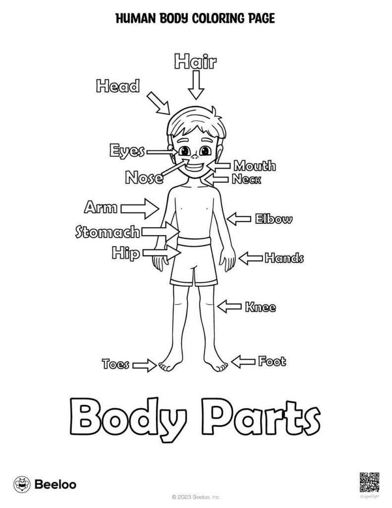 Human Body Themed Coloring Pages • Beeloo Printable Crafts And Intended For Free Printable Human Anatomy Coloring Pages