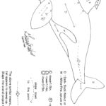 Intarsia Woodworking   Patterns, Tools, Books, Information With Free Printable Intarsia Patterns