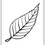 Leaf Coloring Pages (100% Free Printables) Throughout Free Printable Leaf Coloring Pages
